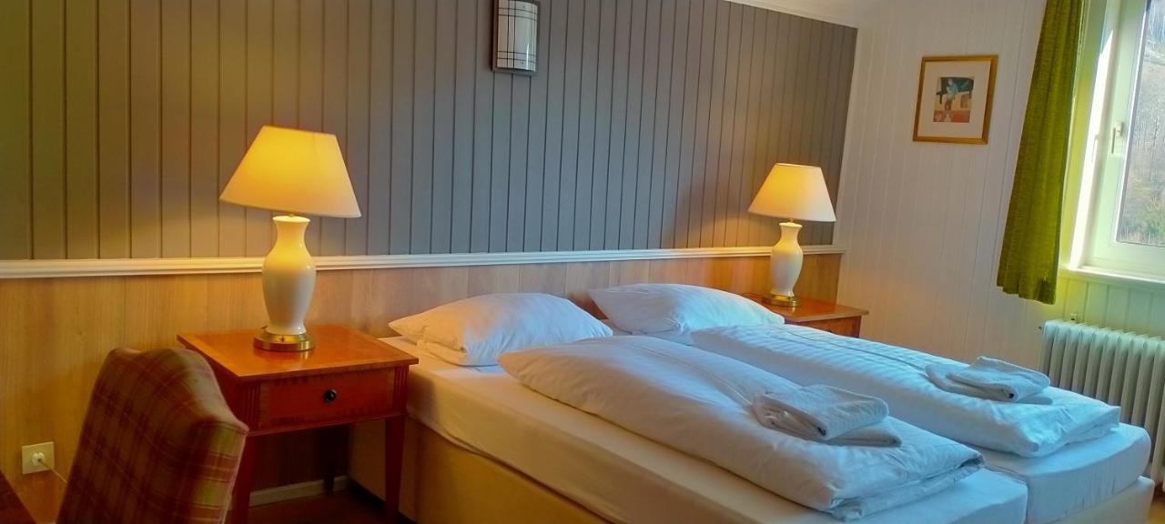 Hotel Waldhaus Im Okertal à Goslar Extérieur photo