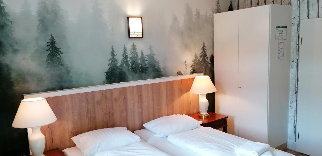 Hotel Waldhaus Im Okertal à Goslar Extérieur photo
