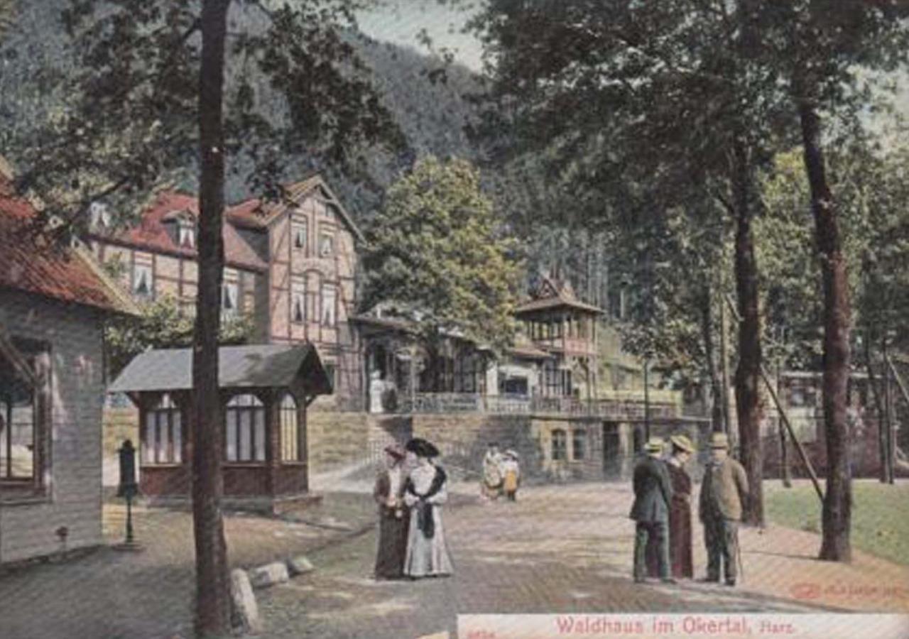 Hotel Waldhaus Im Okertal à Goslar Extérieur photo