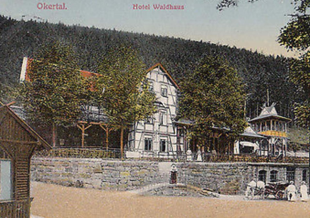 Hotel Waldhaus Im Okertal à Goslar Extérieur photo